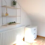 Four Bedroom House By Travel Lets Short Term Agency Donegal With Free Wifi * לטרקני